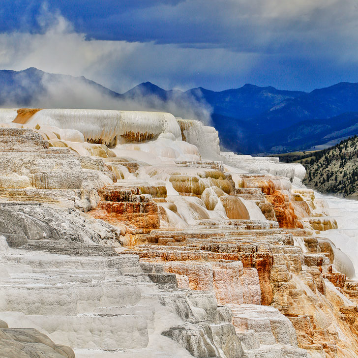 Mammoth Springs at Yellowstone National Park + Tips for Your Visit // Local Adventurer