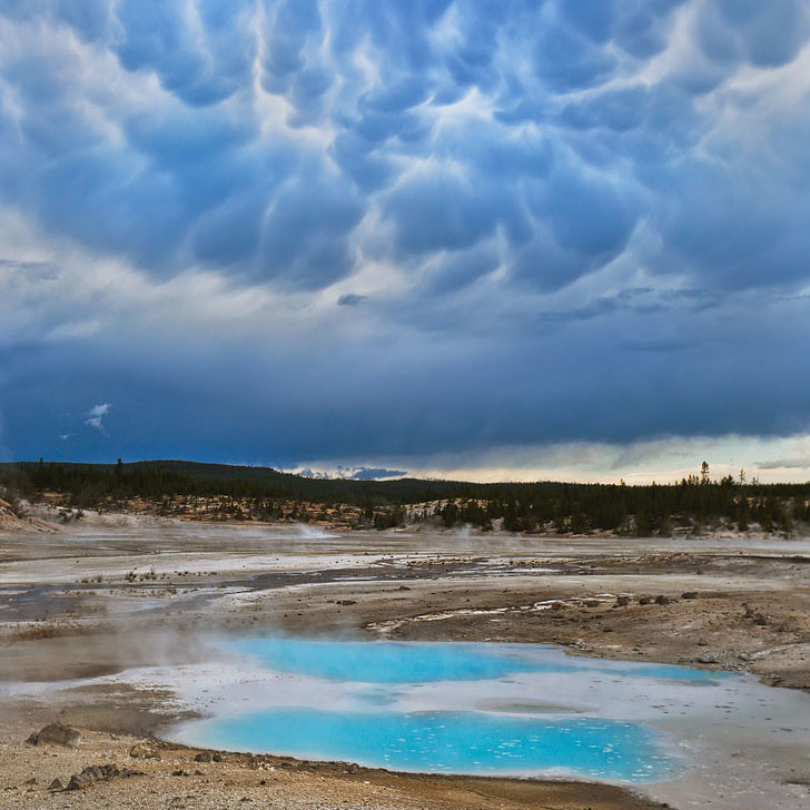 Norris Geyser Basin + Your Ultimate Guide on What to Do in Yellowstone National Park // Local Adventurer