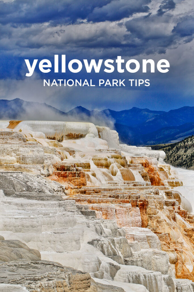 Your Ultimate Guide to Yellowstone National Park Attractions, Where to See Wildlife, Day Hikes, and More // Local Adventurer