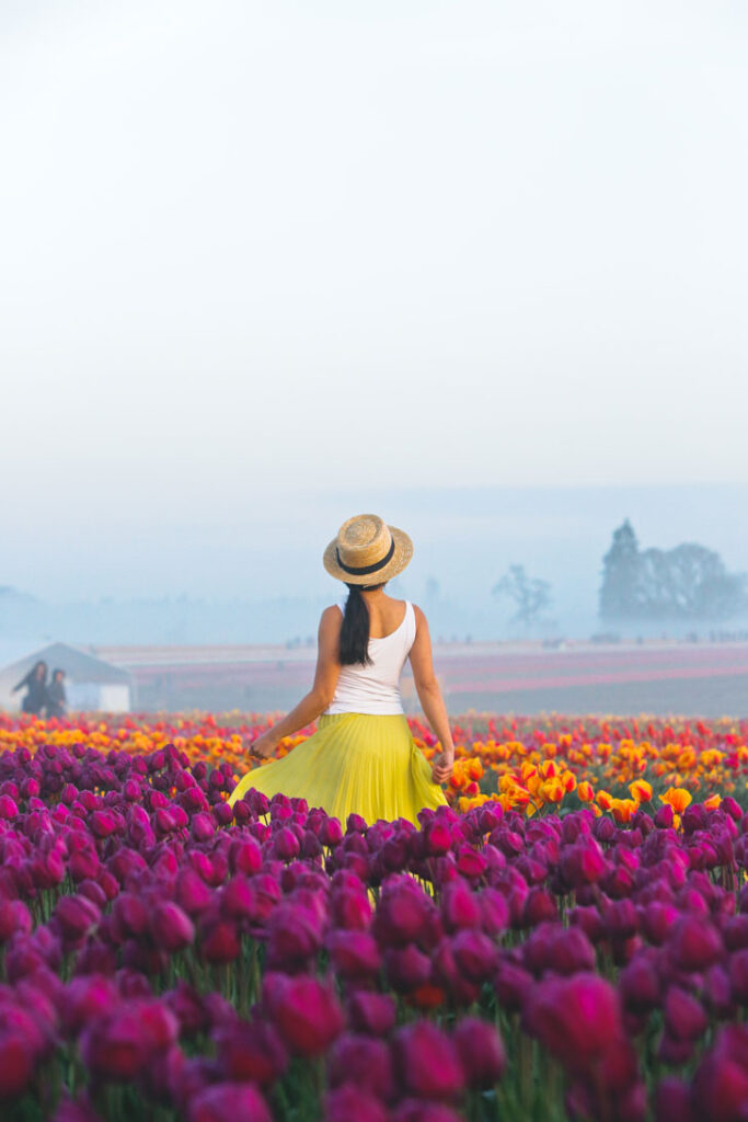 Your Ultimate Guide to the Woodburn Tulip Farm Oregon - What You Need to Know Before You Go - More Amazing Tulip Festivals in the US You Must See // Local Adventurer