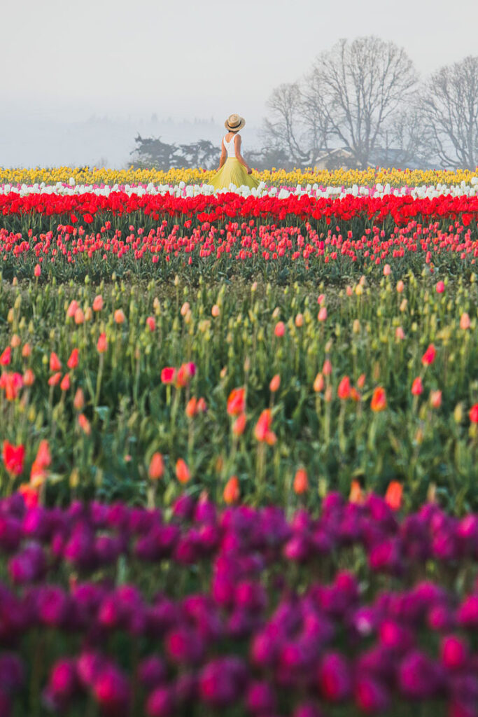 What You Need to Know Before You See the Woodburn Farm Tulips // Local Adventurer