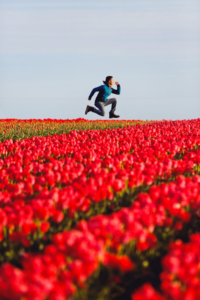 Everything You Need to Know About Tulip Festivals in the US + The Largest Tulip Festival in USA // Local Adventurer