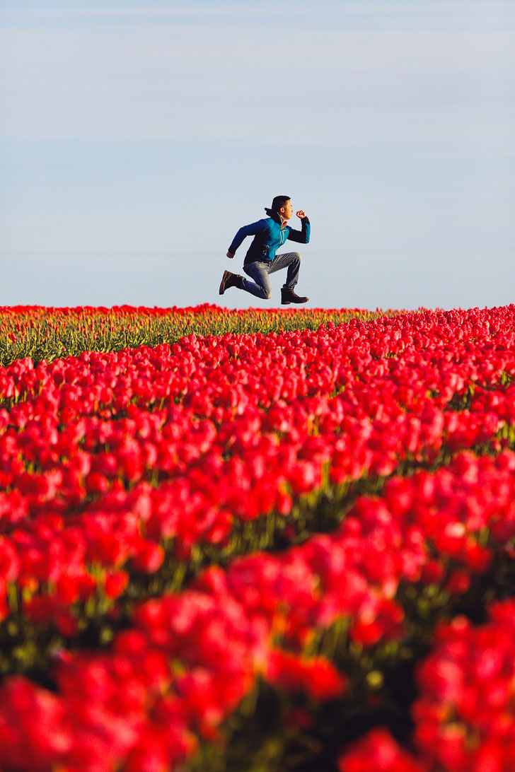 Essential Tips for Visiting the Wooden Shoe Tulip Festival in Oregon