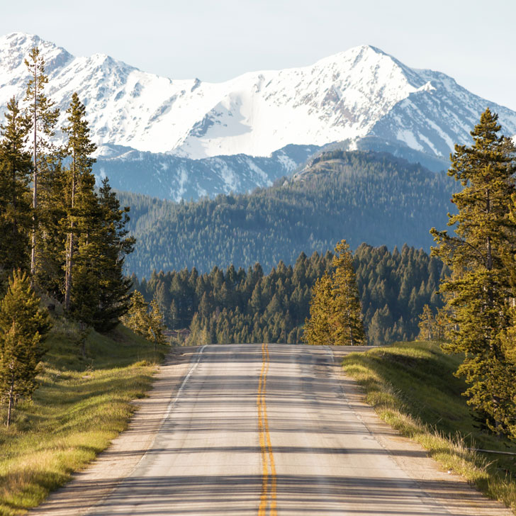 The Most Amazing Scenic Drives in Montana - Go on a Montana road trip to see the most beautiful landscapes in the US // Local Adventurer #montana #montanamoment #roadtrip 