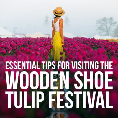Everything You Need to Know About Visiting the Woodburn Tulip Farm + Tips for the Wooden Shoe Tulip Festival // Local Adventurer