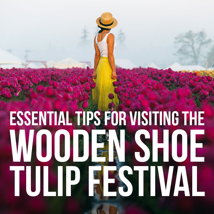 Essential Tips for Visiting the Wooden Shoe Tulip Festival Oregon