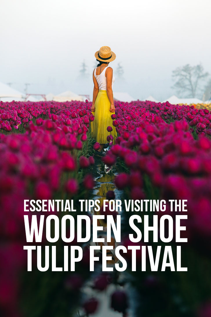 Essential Tips for Visiting the Woodburn Tulip Festival Oregon - 30-40 minutes south of Portland Oregon // Local Adventurer