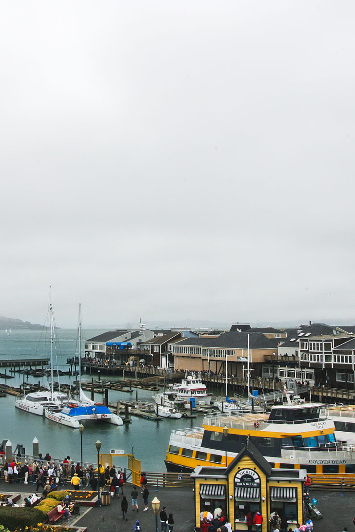 Listening to (and smelling) the Sea Lions at Pier 39 + 25 Fun Free Things to Do in San Francisco // Local Adventurer #sanfrancisco #bayarea #california