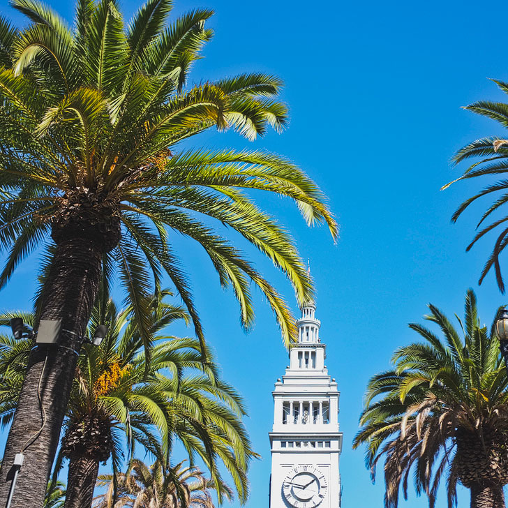 Farmer's Market at the Ferry Building + 25 Free Things to Do in San Francisco // Local Adventurer #budgettravel #sf #sanfrancisco