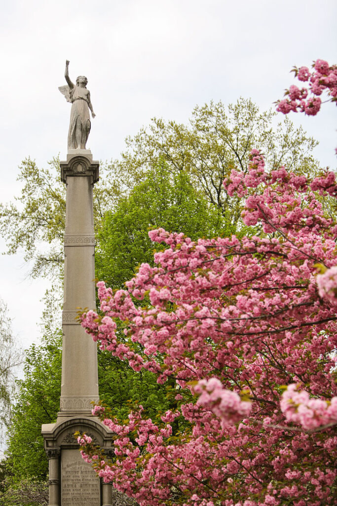 Greenwood Cemetery in Brooklyn is a wonderful spot to see Cherry Blossoms of all varieties // Local Adventurer #brooklyn #nyc