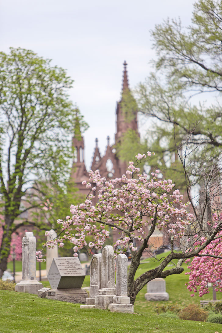 Greenwood Cemetery in Brooklyn is a wonderful spot to see Cherry Blossoms of all varieties // Local Adventurer #brooklyn #nyc