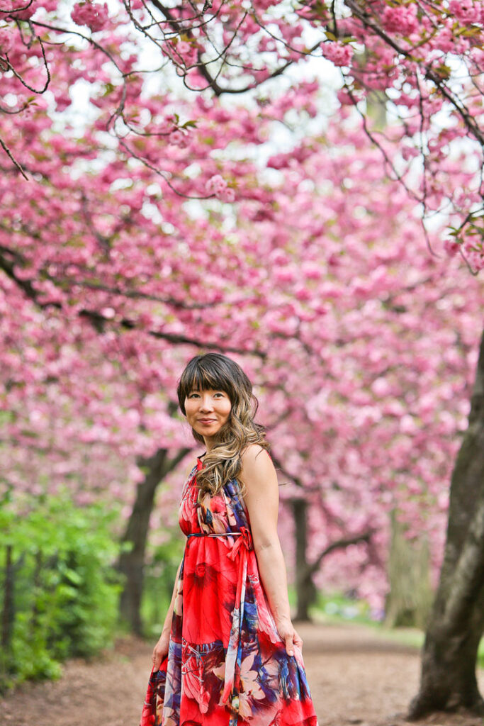 Cherry Blossom NYC Central Park || Your Ultimate Guide to Finding Cherry Blossoms in New York City // Local Adventurer #newyorkcity #nyc