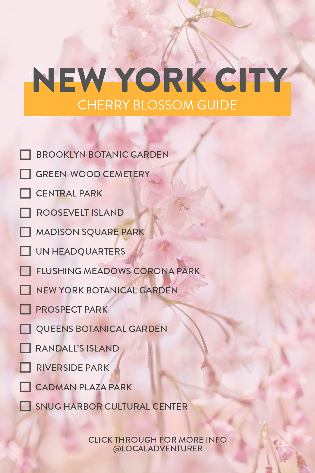 Where and When to Find Cherry Blossoms NYC // Local Adventurer #newyork #spring