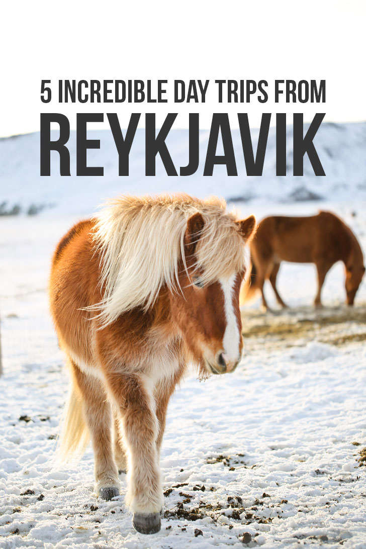 5 Epic Day Trips from Reykjavik Iceland You Can’t Miss | Best Places to Drive to in Iceland - Are you traveling to Iceland? Click the article to see the beautiful destinations that are only a day trip away from Reykjavik. Why you should visit them, Iceland road trip travel tips, and what to do in Reykjavik // Local Adventurer #reykjavik #roadtrip #iceland