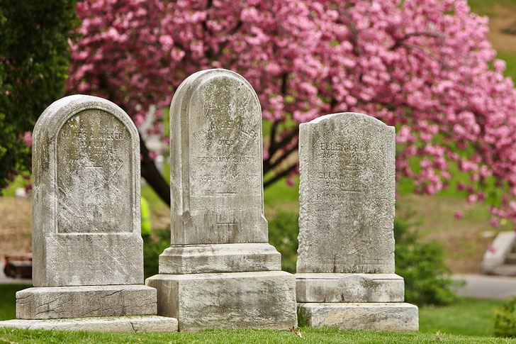 Cherry Blossoms at Green-Wood Cemetery in Brooklyn NYC // Local Adventurer #nyc #brooklyn