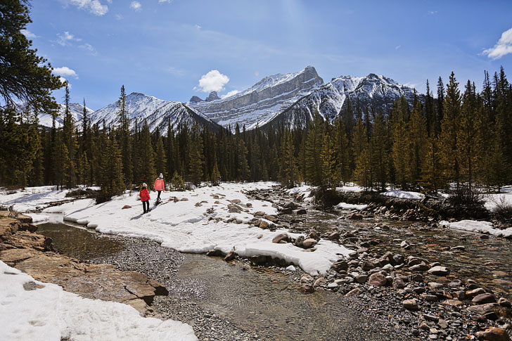 Rockies Heli Canada Snowshoeing in Jasper National Park Alberta // Local Adventurer #alberta #canadianrockies #canada