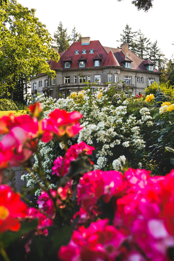 Are you visiting Portland in the summer? Portland Oregon is commonly called the City of Roses or Rose City. Check out this article to see the best places to find the roses • Best rose gardens in Portland • Best season and time to visit • Photo of Pittock Mansion Rose Garden // Local Adventurer #pdx #portland #pnw #oregon #roses