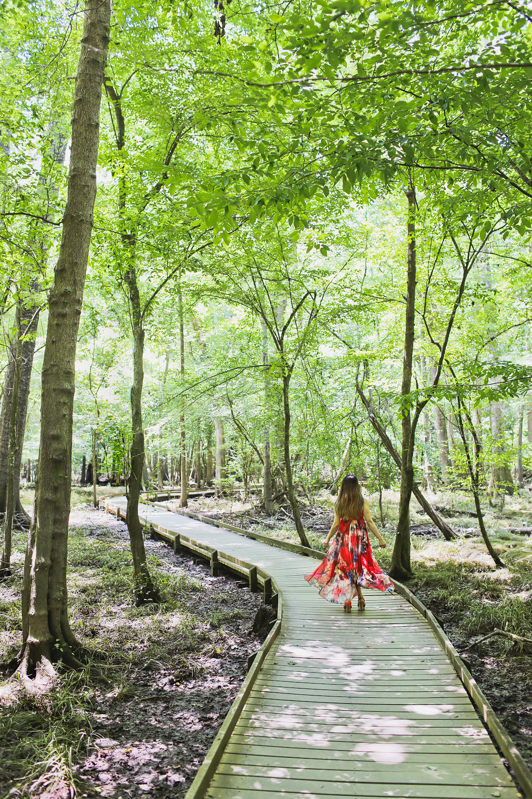 Looking for the best things to do in Columbia SC? Congaree National Park needs to be on your list! Click through and save this pin to find the ultimate guide to this national park. Find out what you can't miss, which ranger program you need to sign up for, when to visit to see the synchronous fireflies, and more. // Local Adventurer #localadventurer #discoverSC #southcarolina #visittheusa #realcolumbiasc