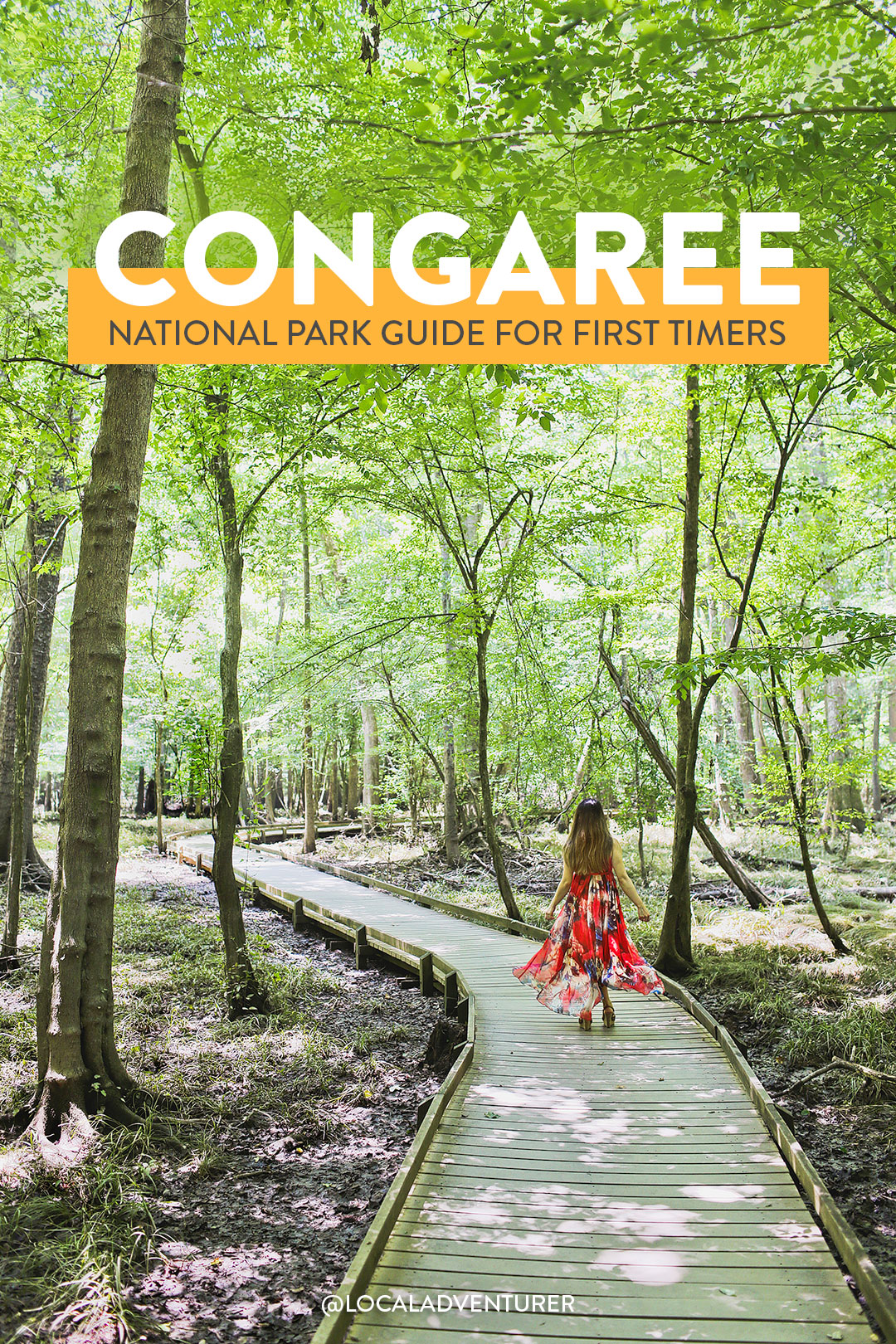 Congaree National Park Guide