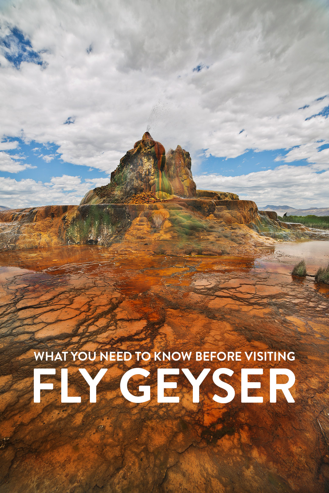 Want to visit the Fly Geyser, Nevada's natural wonder? Save this pin and click through to find out how to book a rare tour of this beautiful phenomenon. Up until recently, no one was allowed to visit the fly ranch geyser property, but now that Burning Man owns it, you can go on nature walk tours to learn more the beautiful black rock desert, fly geyser tour, art installations, and the hot springs. // Local Adventurer #travelnevada #dfmi #nevada #flygeyser #blackrockdesert #desert