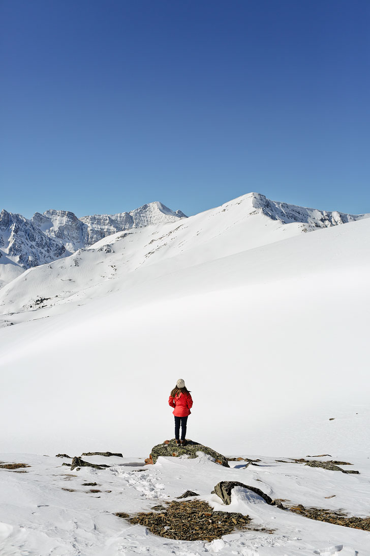 Summiting Whistlers Peak + If you're headed to Alberta, Canada, you need to visit Jasper National Park. Click on this article to find out the best things to do in Jasper, where you need to visit to photograph beautiful places, and hikes you should add to your bucket list. This is the way that the locals do Jasper National Park // Local Adventurer #jasper #alberta #canada