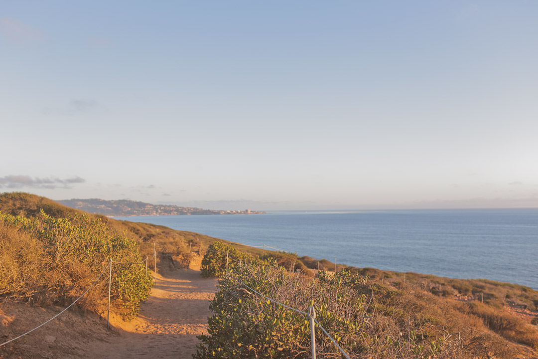 Your Essential Guide to the Torrey Pines Hike - Torrey Pines State Reserve Hiking Trails - Hiking in Southern California // Local Adventurer #sandiego #visitcalifornia #california #ca #torreypines