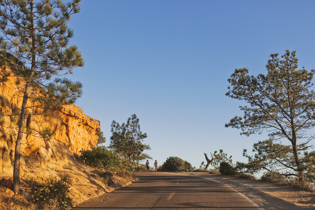 Your Essential Guide to the Torrey Pines Hike, Torrey Pines State Reserve, Top La Jolla Hiking Trails // Local Adventurer #sandiego #hiking #california #torreypines