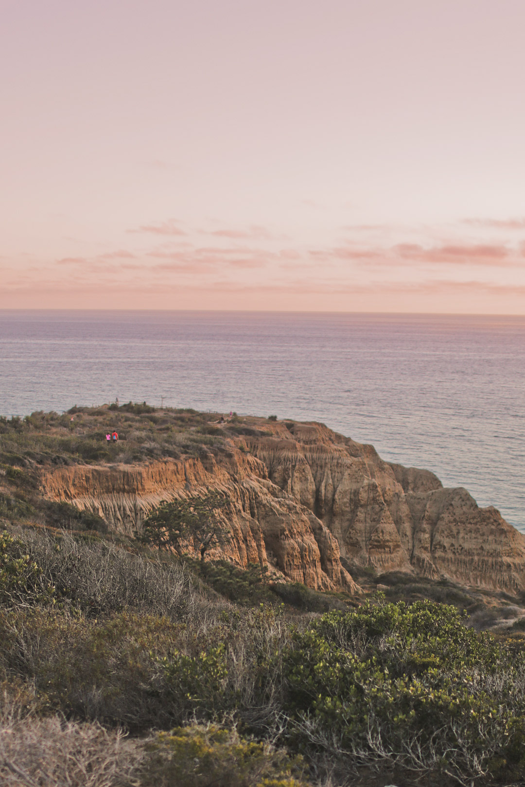 Razor Point Trail, Torrey Pines Hike, Best Beach Hikes in San Diego // Local Adventurer #sandiego #visitcalifornia #california #ca #torreypines