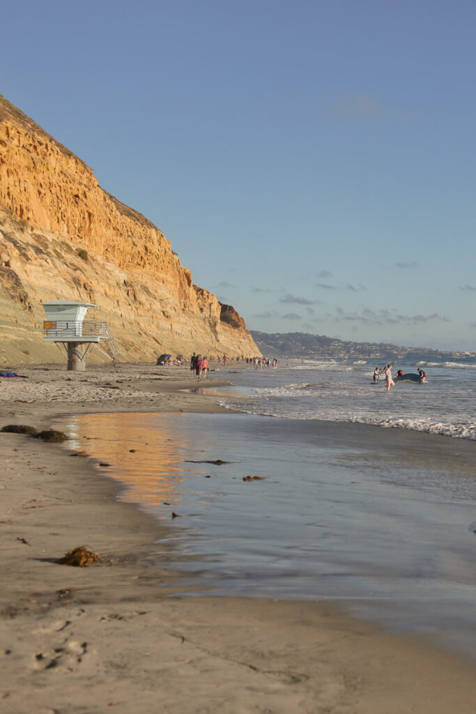 Your Essential Guide to the Torrey Pines Hiking Trail - Torrey Pines State Reserve Hikes - Hiking in San Diego // Local Adventurer #sandiego #visitcalifornia #california #ca #torreypines