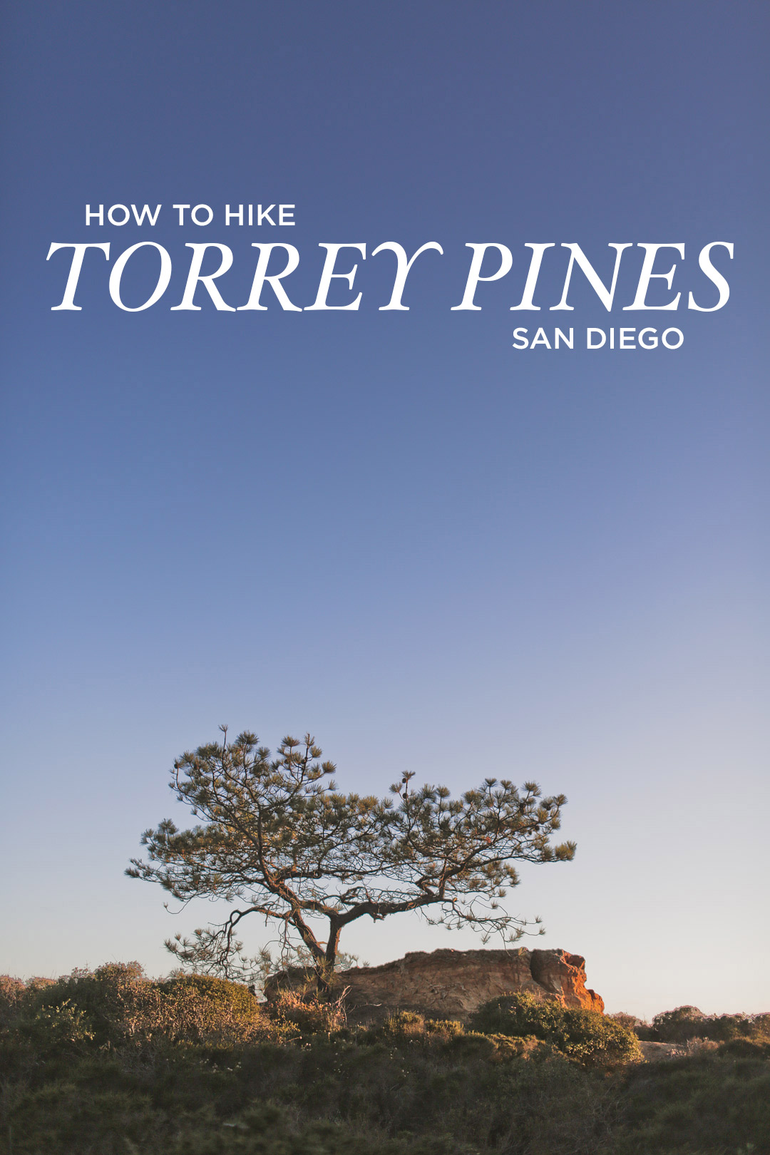 What You Need to Know About the Torrey Pines Hiking Trail in San Diego // Local Adventurer #sandiego #hiking #california #torreypines