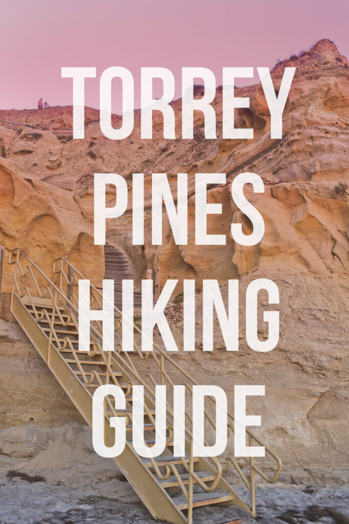 What You Need to Know About Hiking in Torrey Pines Natural State Reserve - Hiking in San Diego // Local Adventurer #sandiego #hiking #california #torreypines