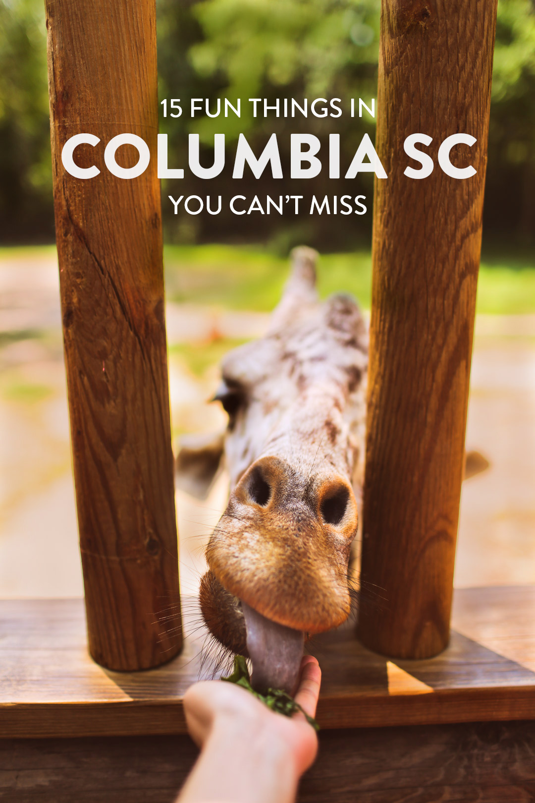 Visiting Columbia SC? Here are 15 fun things to do in Columbia SC that you can't miss. Save this pin and click to see more Columbia SC Attractions, things to do with kids in Columbia SC, free things to do in Columbia SC and more // Local Adventurer #RealColumbiaSC #columbiasc #discoverSC #southcarolina #visittheusa #usa