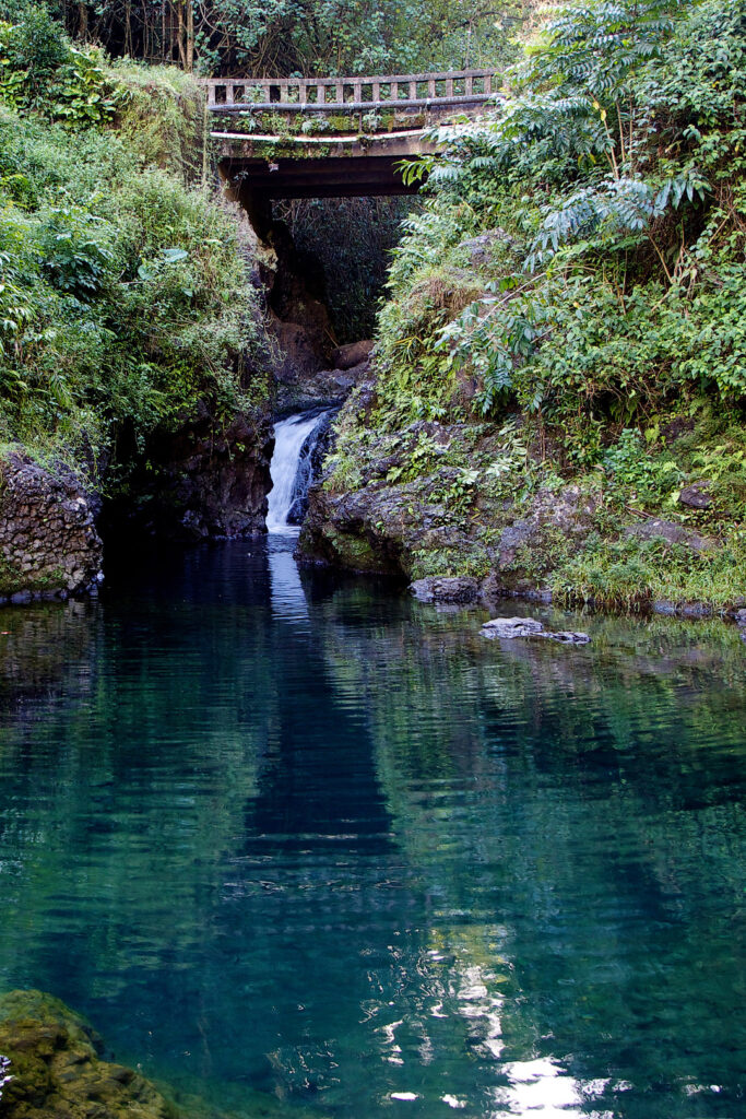 Ching's Pond, Maui + 19 Incredible Road to Hana Stops You Shouldn't Miss (photo: Andrew K. Smith) // Local Adventurer #hana #hawaii #maui #island #hanahwy #roadtrip #tropical #usa #travel