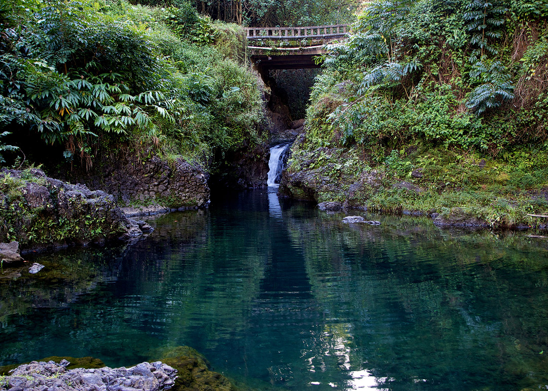 Ching's Pond on the Road to Hana + 19 Incredible Road to Hana Stops You Shouldn't Miss (photo: Andrew K. Smith) // Local Adventurer #hana #hawaii #maui #island #hanahwy #roadtrip #tropical #usa #travel