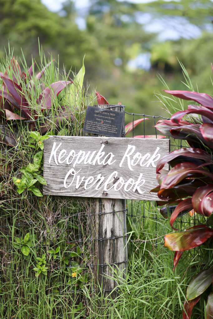 Garden of Eden Arboretum, Maui, Hawaii + 19 Incredible Road to Hana Stops You Shouldn't Miss // Local Adventurer #hana #hawaii #maui #roadtohana #island #hanahwy #roadtrip #tropical #usa #travel