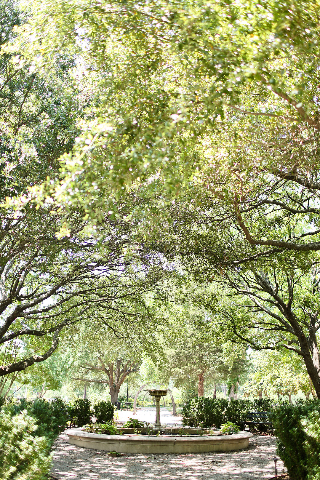 Need ideas for your visit to Columbia SC? Click through to read the full post on the best things to do in columbia sc. The list includes hiking near columbia sc, the south carolina state museum columbia sc, harrison state forest, the Hampton Preston house Columbia SC, and more. // Local Adventurer #RealColumbiaSC #columbiasc #discoverSC #southcarolina #visittheusa #usa