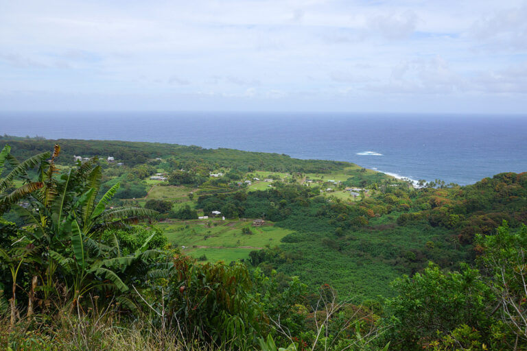 19 Incredible Road to Hana Stops You Can’t Miss – Local Adventurer ...