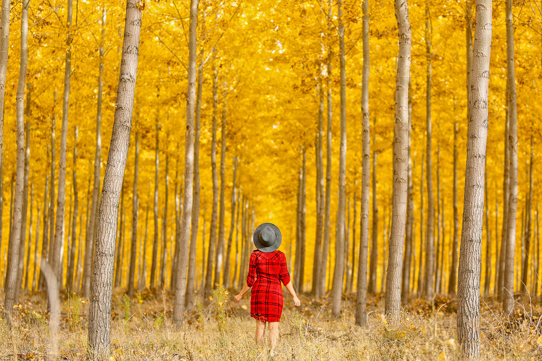 Photos Show What Top Fall Foliage Destinations Look Like in Winter