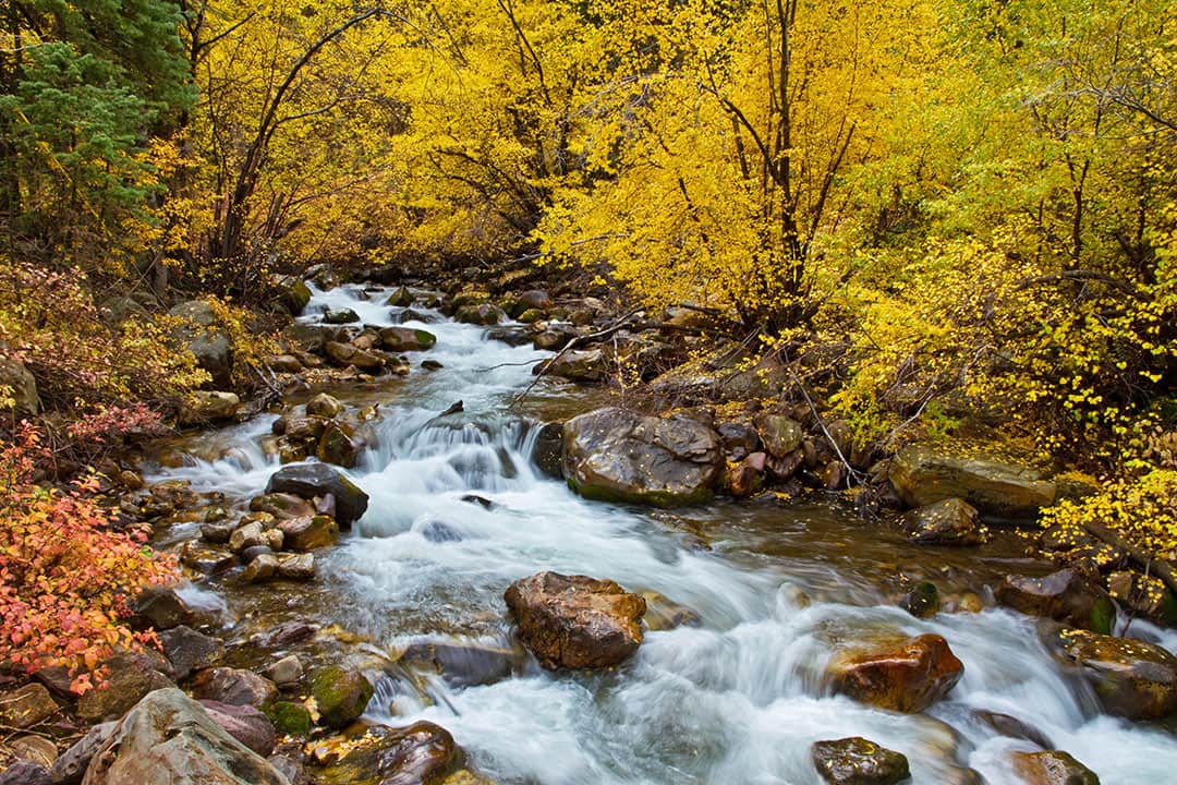 big cottonwood canyon fall colors + best fall foliage in usa