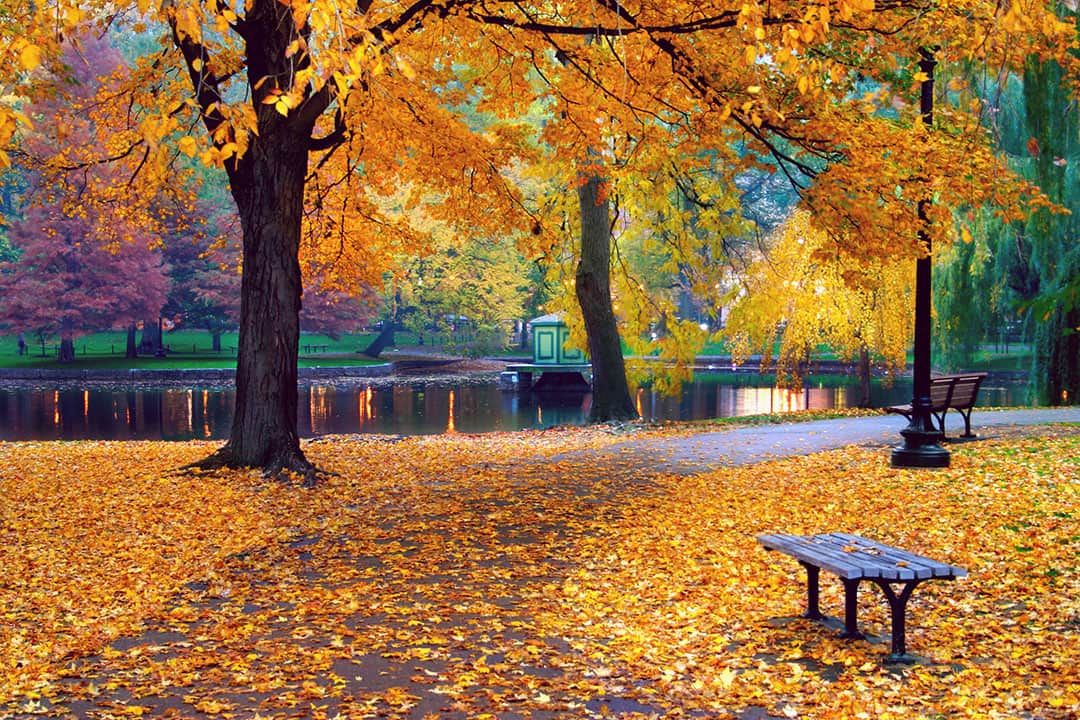 Boston Fall Foliage + 17 Best Fall Vacation Spots in the US and Best Places to See Leaves Change