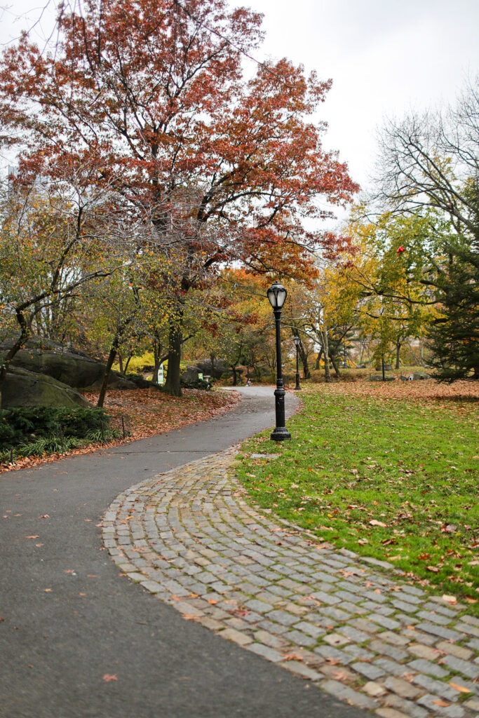 Central Park Autumn Places + 17 Best Places to See Fall Foliage in the US and Best Fall Colors in USA // Local Adventurer #autumn #fall #foliage #trees #leaves #colors #centralpark #usa #travel #nyc #newyork #newyorkcity