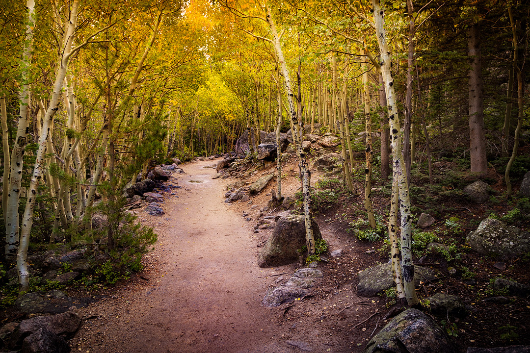 Colorado Fall Colors + 17 Best Places to See Fall Foliage in the US // Local Adventurer #usa #travel #fall #foliage #autumn #leaves #trees #colorado #co #hiking