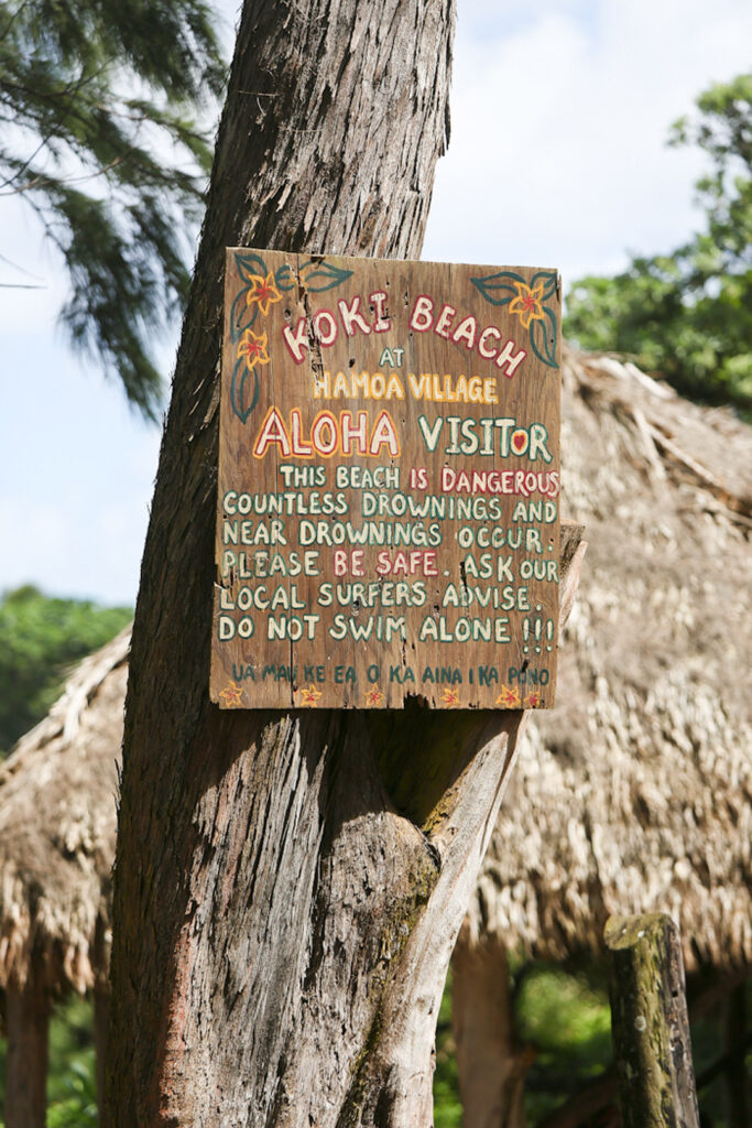 Koki Beach Maui + 19 Best Stops on the Road to Hana // Local Adventurer #hana #hawaii #maui #island #hanahwy #roadtrip #tropical #usa #travel #roadtohana