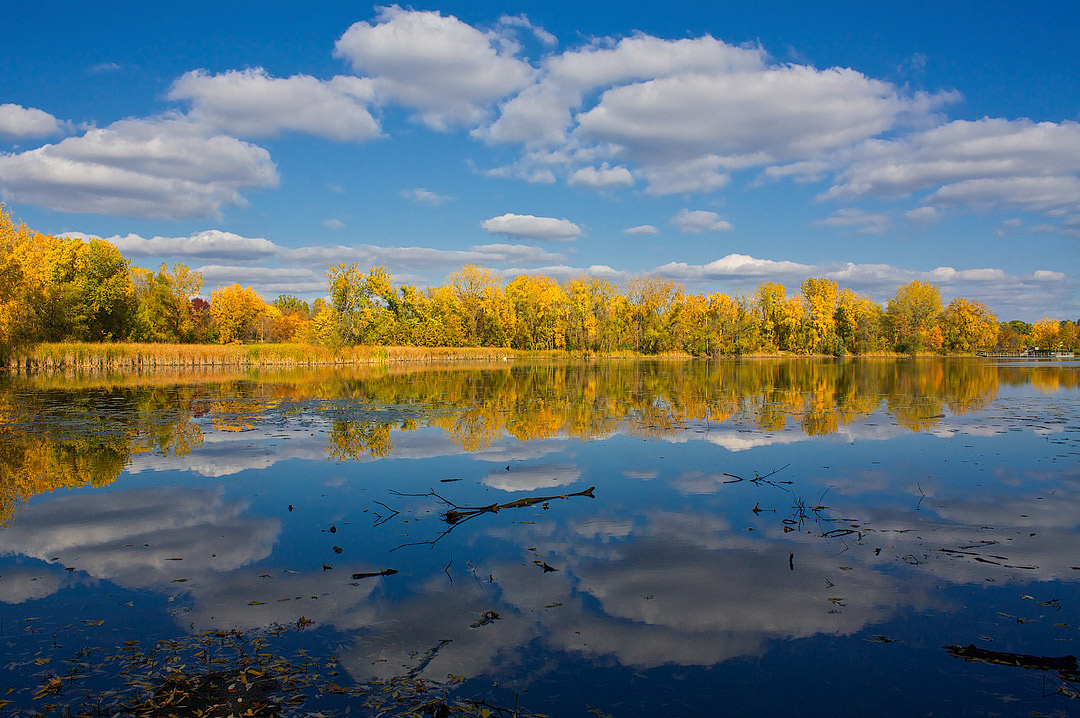 Minnesota Fall Foliage + Your Guide to the Best Fall Foliage in USA // Local Adventurer #usa #travel #minnesota #fall #foliage #colors #autumn #trees