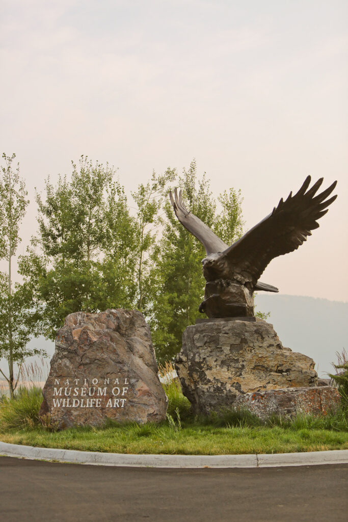 National Wildlife Museum + Your Essential Guide on What to Do in Jackson Hole Wyoming // Local Adventurer #thatswy #wyoming #wy #usa #travel #outdoors #hiking #adventure #jacksonhole #museum