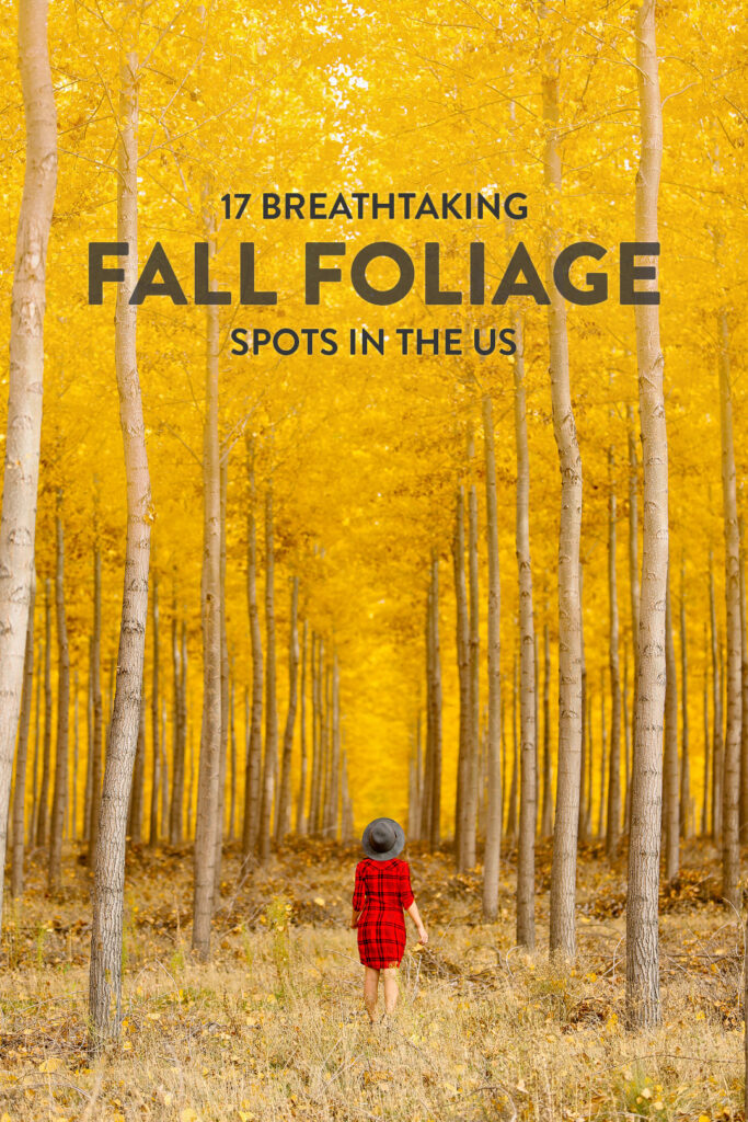 17 Places to Visit in November in USA for Fall Foliage + Best Fall Foliage in the World // Local Adventurer #fall #fallfoliage #usa #travel #autumn #trees #leaves #orange