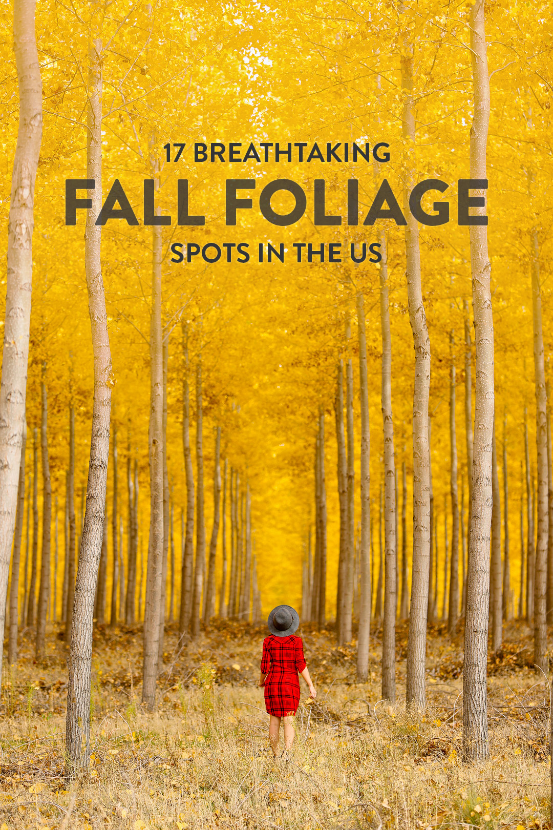 17 Road Trip Destinations For The Best Fall Foliage In The