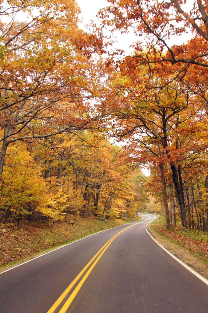 17 Road Trip Destinations For The Best Fall Foliage In The Usa » Local 