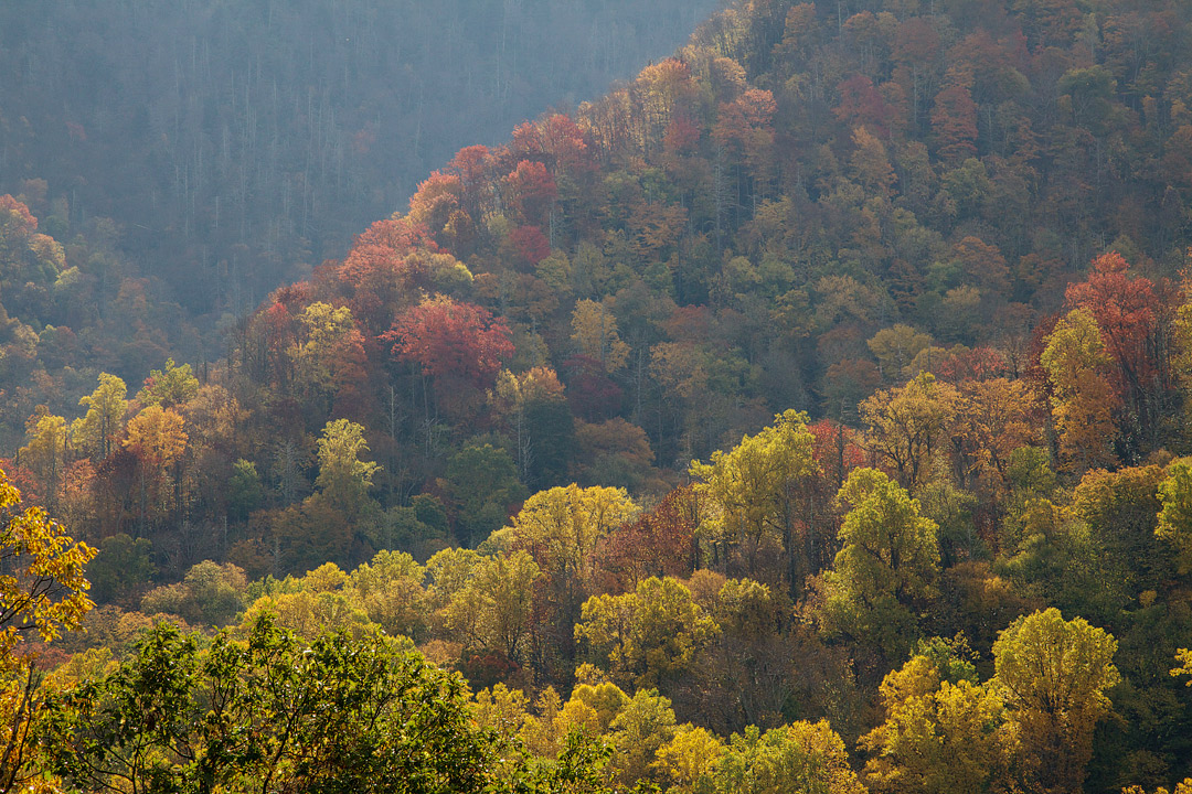 Smoky Mountains Fall Foliage + 17 Best National Parks to Visit in the Fall and US Cities with Beautiful Fall Colors // Local Adventurer #usa #travel #fall #foliage #autumn #leaves #trees #smokymountains #nationalpark #findyourpark