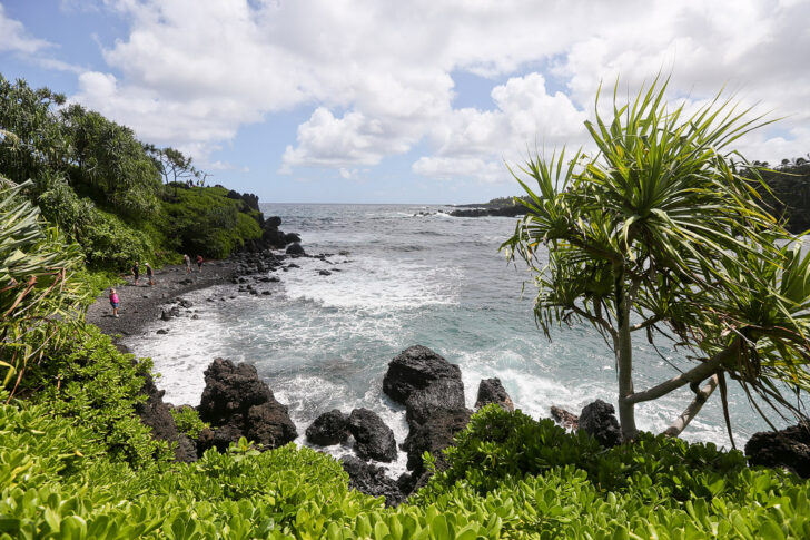 Waianapanapa State Park + 19 Incredible Road to Hana Highlights You Can't Miss - Best Road to Hana Stops // Local Adventurer #hawaii #maui #hana #beach #blacksand #hanahwy #usa #travel #roadtrip #roadtohana